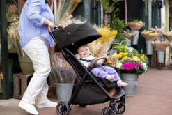 Joie Buggy Pact Pro Shale