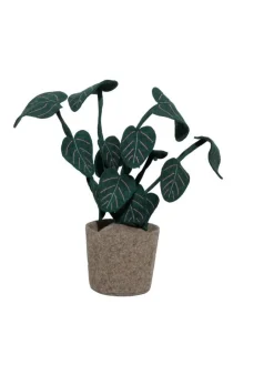 Kidsdepot Kunstplant Calathea