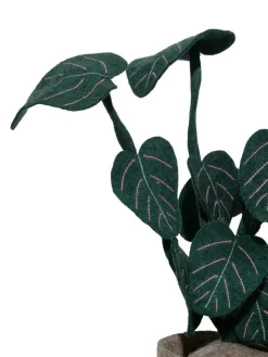 Kidsdepot Kunstplant Calathea