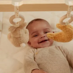 Little Dutch Babygym Newborn Naturals