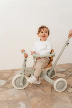 Little Dutch 4-in-1 Driewieler / Loopfiets Green Leaf