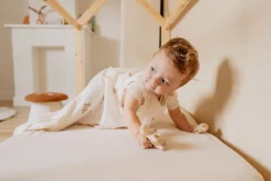 Puckababy Slaapzak 4 Seizoenen Teddy Bears