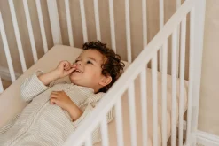 Puckababy Slaapzak 4 Seizoenen Green Stripes