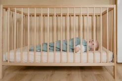Puckababy Slaapzak 4 Seizoenen Bunnies