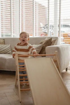 Tryco Houten Klimrek met Glijbaan